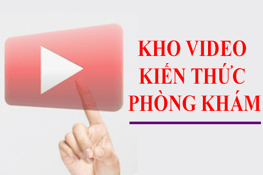 Danh mục video