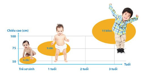 Tầm quan trọng của dinh dưỡng với sự phát triển trong 1000 ngày đầu đời của trẻ